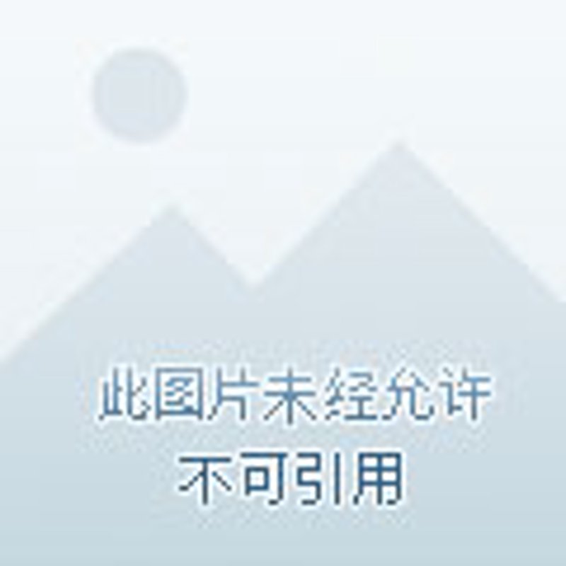 展会策划指南：打造难忘的参展体验